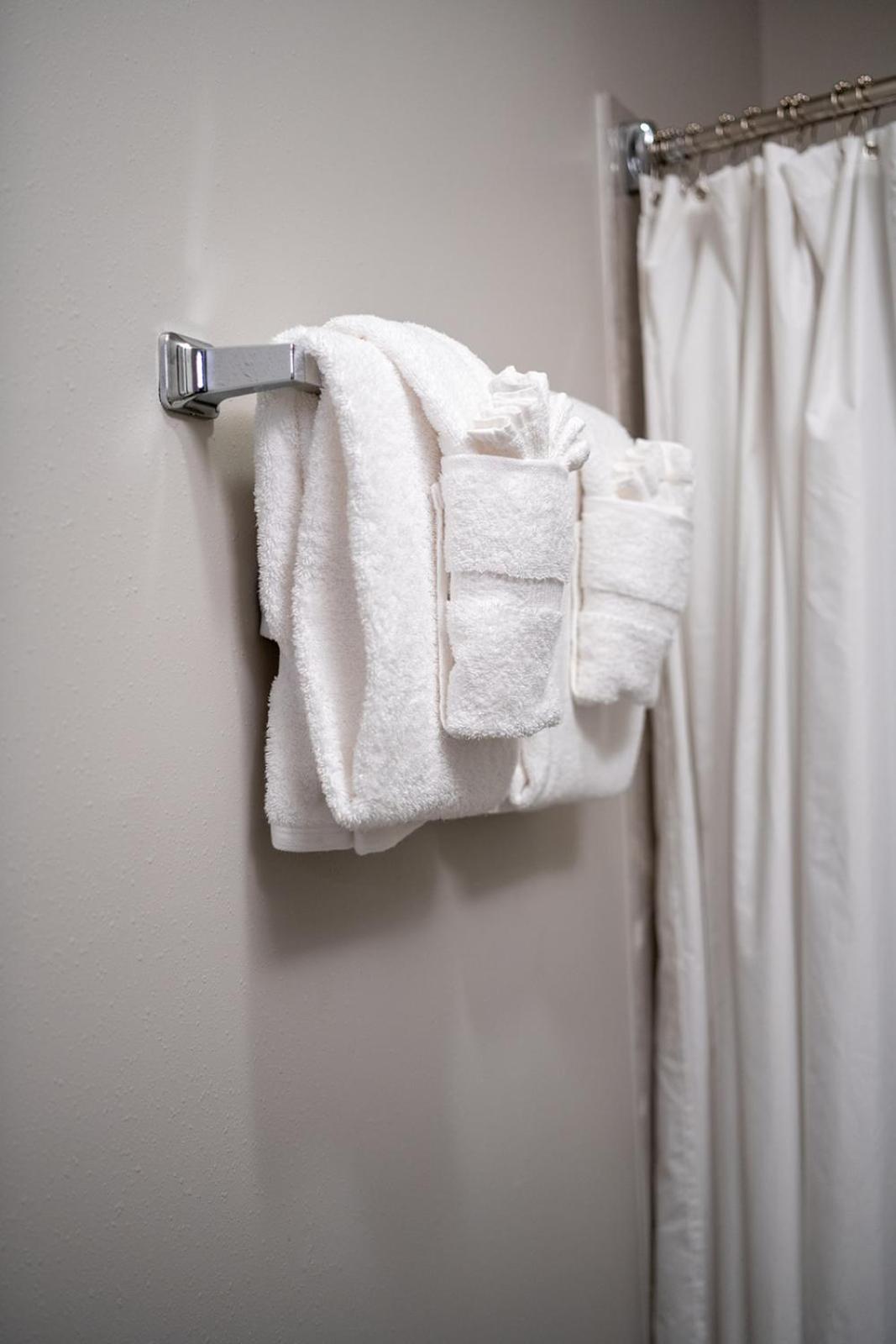 French Quarter Suites Hotel Ню Орлиънс Екстериор снимка